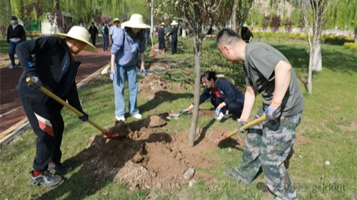 “植此青绿，共绘青山”——甘肃金控集团开展义务植树活动